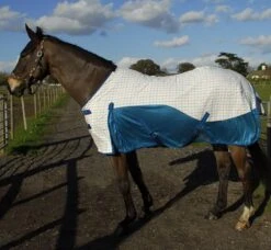 Rhinegold Helena Air Summer Sheet -Finest Equestrian Supplies 683 sized 1 4