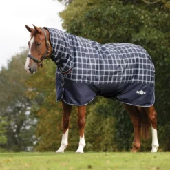 Saxon Defiant 600D Combo Neck Heavy Turnout Rug -Finest Equestrian Supplies 6b6b3c957f6ce04cd459f3b1ac6b4b2c 15 15 jpg