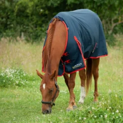 Gallop Trojan 200 Turnout Rug -Finest Equestrian Supplies 700 3 4 jpg
