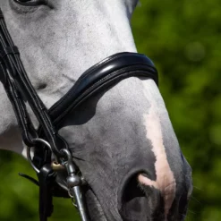 Premier Equine Abriano Anatomic Double Bridle - Black -Finest Equestrian Supplies abriano double bridle2 1 jpg