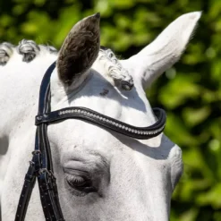 Premier Equine Abriano Anatomic Double Bridle - Black -Finest Equestrian Supplies abriano double bridle3 3 jpg