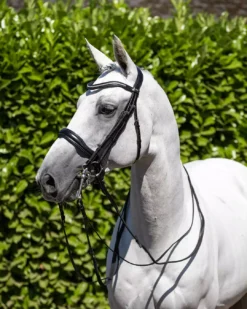 Premier Equine Abriano Anatomic Double Bridle - Black
