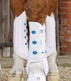 Premier Equine Air Cooled Original Eventing Boots -Finest Equestrian Supplies air cooled original white hind 1 8 jpg