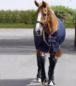 Premier Equine Airtechnology Knee Pro-Tech Horse Travel Boots -Finest Equestrian Supplies airtechnology knee pro tech travel boots navy 2 1 2 jpg