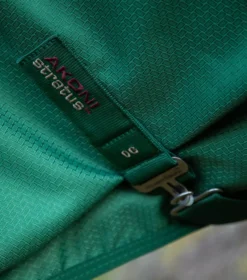 Premier Equine Akoni 0g Original Turnout Rug -Finest Equestrian Supplies akoni 0g original green 5 8 jpg