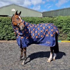 John Whitaker Angus Highland Cow 170G Turnout With Detachable Hood -Finest Equestrian Supplies angus 1 1300x1300 4 jpg