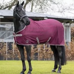 LeMieux Arika Air-Tek Sheet -Finest Equestrian Supplies arika air tek sheet burgundy 1 2 2 jpg