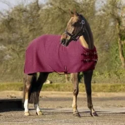 LeMieux Arika Clima-Tek Rug -Finest Equestrian Supplies arika clima tek rug burgundy 1 6 jpg