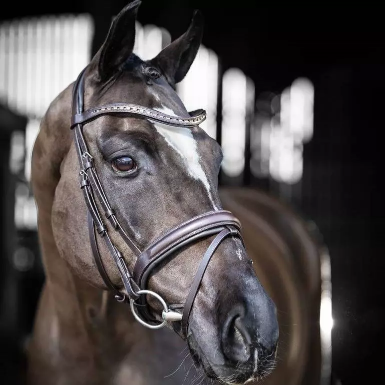 LeMieux Arika Dressage Bridle 7 LeMieux Arika Dressage Bridle - Image 5