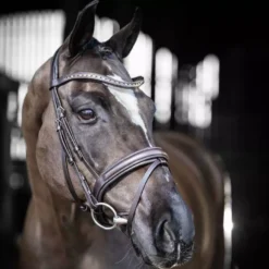 LeMieux Arika Dressage Bridle 17 LeMieux Arika Dressage Bridle -Finest Equestrian Supplies arika dressage bridle brown 1 2 jpg