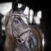 LeMieux Arika Dressage Bridle -Finest Equestrian Supplies arika dressage bridle brown 1 4 jpg