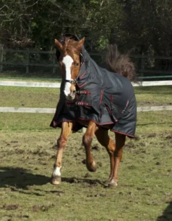 Rhinegold Aspen Heavyweight Combo Turnout 350g - Limited Offer -Finest Equestrian Supplies aspen black red 1 2 jpg