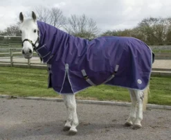 Rhinegold Aspen Heavyweight Combo Turnout 350g - Limited Offer -Finest Equestrian Supplies aspen c699 purple web 1 10 jpg