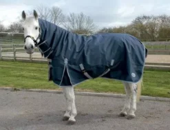 Rhinegold Aspen Heavyweight Combo Turnout 350g - Limited Offer -Finest Equestrian Supplies aspen navy 2 jpg