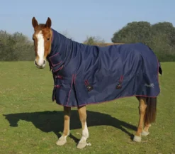 Rhinegold Aspen Heavyweight Combo Turnout 350g - Limited Offer -Finest Equestrian Supplies aspen navy red 7 jpg