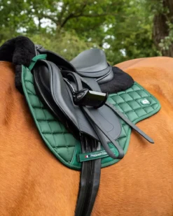 Premier Equine Atlantis CC Satin Wool GP/Jump Square -Finest Equestrian Supplies atlantisolive 1 jpg