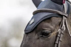 LeMieux Ultra Mesh Fly Hood 40 LeMieux Ultra Mesh Fly Hood -Finest Equestrian Supplies b2a1d3b168fd403cb3eb360ad78dec1f.image .750x499 2 jpg