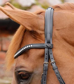 Premier Equine Bellissima Crank Bridle With Diamante Browband -Finest Equestrian Supplies bellissima crank bridle black 6 3 jpg
