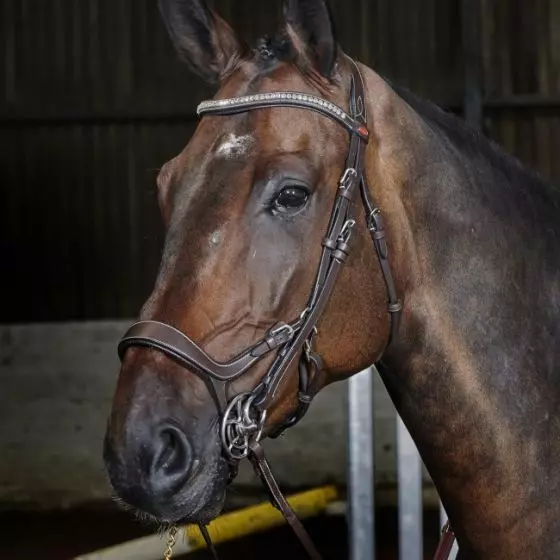 John Whitaker Chicago Anatomic Breathable Bridle 4 John Whitaker Chicago Anatomic Breathable Bridle - Image 2