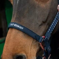 John Whitaker Bradshaw Headcollar Iwth Rose Gold Fittings -Finest Equestrian Supplies bradshaw headcollar 2 1000x1000 1 jpg