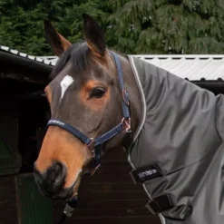 John Whitaker Bradshaw Headcollar Iwth Rose Gold Fittings -Finest Equestrian Supplies bradshaw headcollar 3 650x650 1 4 jpg