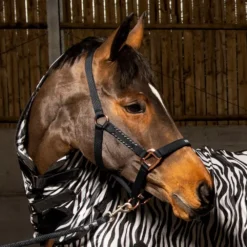 John Whitaker Bradshaw Headcollar Iwth Rose Gold Fittings -Finest Equestrian Supplies bradshaw black 1000x1000 4 jpg