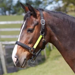 Bitz Field Safe Headcollar With Hi Viz Trim