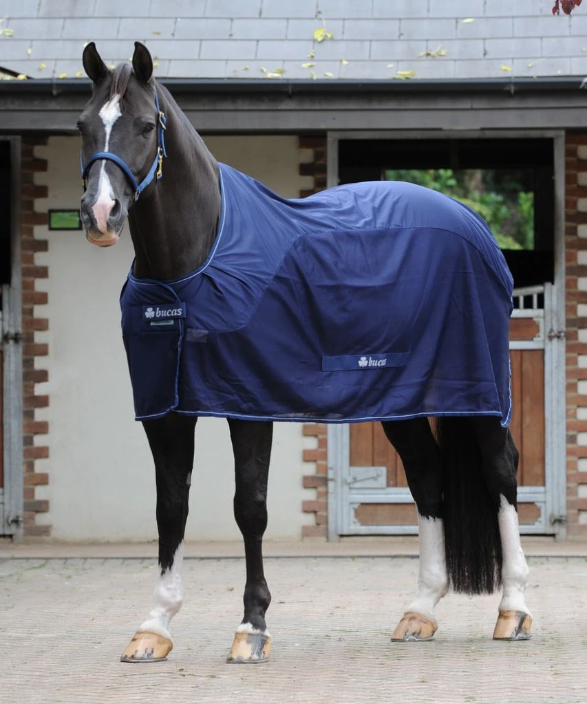 Bucas Competition Cooler 17 Bucas Competition Cooler - Image 15