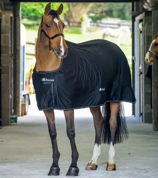 Bucas Power Cooler Rug - Detachable Surcingles 18 Bucas Power Cooler Rug - Detachable Surcingles - Image 16