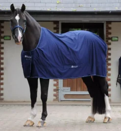 Bucas Power Cooler Rug - Detachable Surcingles 34 Bucas Power Cooler Rug - Detachable Surcingles -Finest Equestrian Supplies bucas power cooler navy 5 jpg