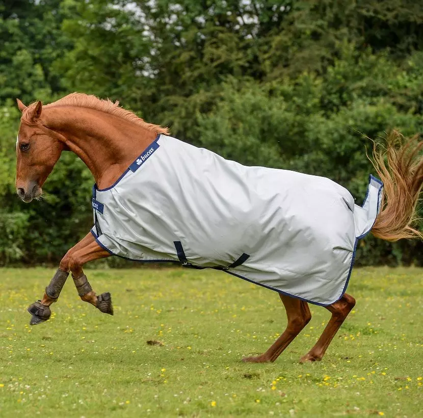 Bucas Power Turnout Rug Light 9 Bucas Power Turnout Rug Light - Image 7