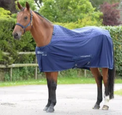 Bucas Therapy Rug 24 Bucas Therapy Rug -Finest Equestrian Supplies bucas recuptex 5 jpg