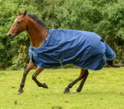 Bucas Smartex Extra Big Neck Turnout Rug - Ideal For Stallions, Friesians, Andalusian And Draughts 14 Bucas Smartex Extra Big Neck Turnout Rug - Ideal For Stallions, Friesians, Andalusian And Draughts -Finest Equestrian Supplies bucas smartex blue 13 jpg