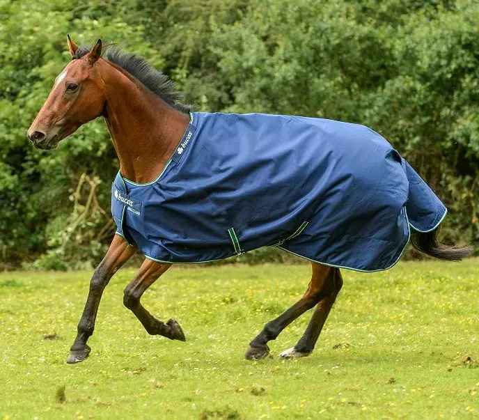 Bucas Smartex Extra Big Neck Turnout Rug - Ideal For Stallions, Friesians, Andalusian And Draughts 9 Bucas Smartex Extra Big Neck Turnout Rug - Ideal For Stallions, Friesians, Andalusian And Draughts - Image 7