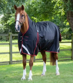 Premier Equine Buster Hardy 400g Half Neck Turnout Rug -Finest Equestrian Supplies buster hardy 400 black 1 1 jpg