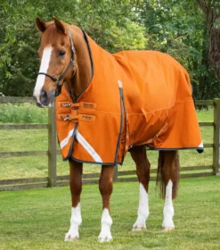 Premier Equine Buster Hardy 400g Half Neck Turnout Rug -Finest Equestrian Supplies buster hardy burnt orange 1 6 jpg