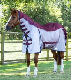 Premier Equine Buster Stay-Dry Super Lite Fly Rug With Surcingles -Finest Equestrian Supplies buster stay dry super lite fly rug with surcingles wine 1 7 jpg