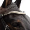 EcoRider Freedom Grace Browband -Finest Equestrian Supplies cameo ecorider freedom grace browband black p7565 19347 image 3 jpg