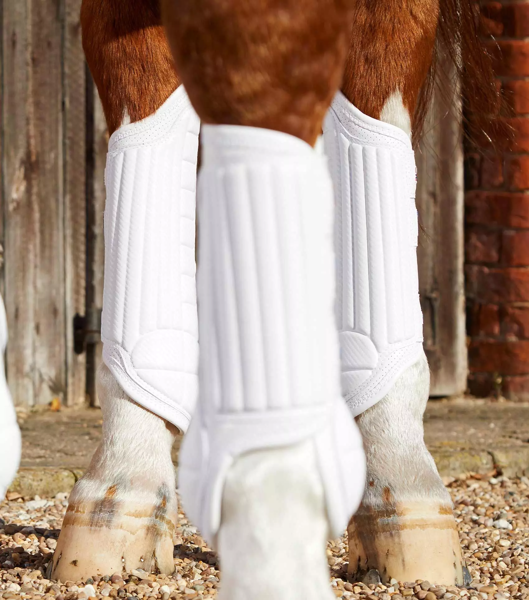 Premier Equine Carbon Tech Air Flex Eventing Boots 16 Premier Equine Carbon Tech Air Flex Eventing Boots - Image 14