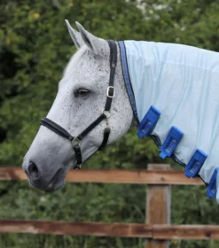Premier Equine Combo Mesh Air Fly Rug With Surcingles -Finest Equestrian Supplies combo mesh air fly rug with surcingles blue 2 7 jpg