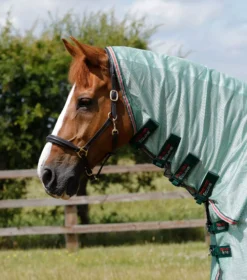 Premier Equine Combo Mesh Air Fly Rug With Surcingles -Finest Equestrian Supplies combo mesh air fly rug with surcingles mint green 2 8 jpg