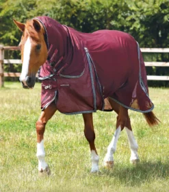 Premier Equine Combo Mesh Air Fly Rug With Surcingles -Finest Equestrian Supplies combo mesh air fly rug with surcingles wine 1 1 jpg