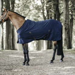 Kentucky Horsewear Cotton Sheet -Finest Equestrian Supplies cotton sheet navy in wood 1