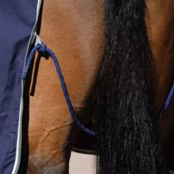 Weatherbeeta Cotton Show Sheet With Surcingles II Standard Neck Dark Blue -Finest Equestrian Supplies d50a11cbd16f4051b538f4b9048596b1 4 jpg