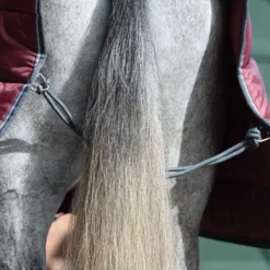 WeatherBeeta ComFiTec 210D Combo Heavyweight Channel Quilt -Finest Equestrian Supplies d61cebb10e929c9dcb244f659fa155fc 11 jpg