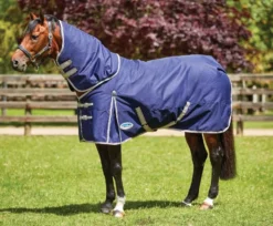 Weatherbeeta Comfitec Essential Detach-a-Neck Medium -Finest Equestrian Supplies danm1 1 13 jpg