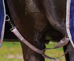 Weatherbeeta Comfitec Essential Detach-a-Neck Medium -Finest Equestrian Supplies danm2 6 jpg