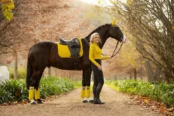 Lemieux ProSport Suede Dressage Square -Finest Equestrian Supplies dijon suede dressage 2 1 jpg