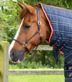 Premier Equine Domus 400g Combo Stable Rug -Finest Equestrian Supplies domus 400 stable rug navy 2 5 jpg