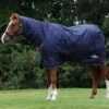 Saxon Defiant 600D Combo Neck Heavy Turnout Rug -Finest Equestrian Supplies e53bb27f58911a08322753a03da4adec 15 1 3